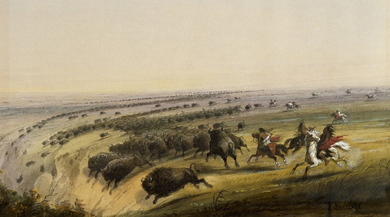 Figure 2: Hunting Buffalo