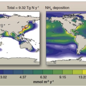 Estimation of anthropogenic nitrogen oxidized and reduced fluxes