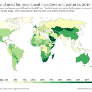 Share of land used for permanent meadows and pastures, 2019