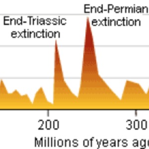 Extinction events throughout history